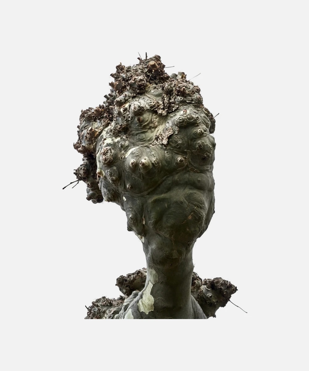 Sculptură Moguls — Crem